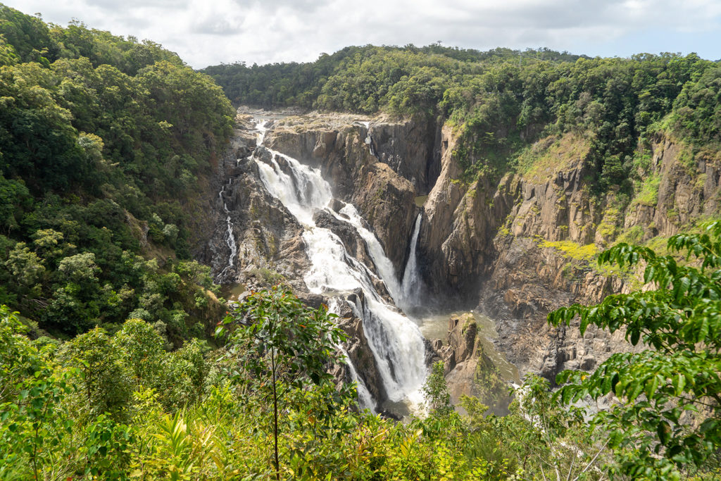 Die breiten Barron Wasserfälle die weiter unten in der Schlucht zum Barron River werden