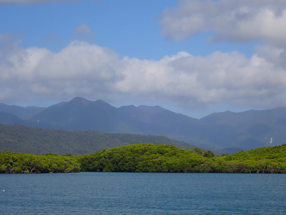 Where the rainforest meets the ocean... Daintree Regenwald und Great Barrier Reef