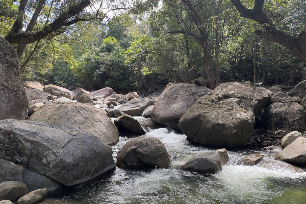 Ein Flusslauf mitten im Regenwald. Das Wasser ist klar und kalt. Zu kalt für Krokodile....