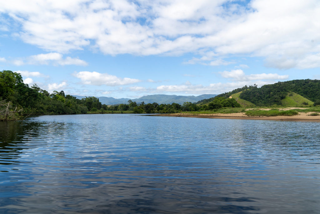 Mit dem Boot auf dem Daintree River ein Stück flussaufwärts unterwegs