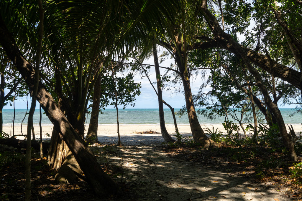 Nur ein paar Schritte und wir sind am Meer: Cape Tribulation Campground