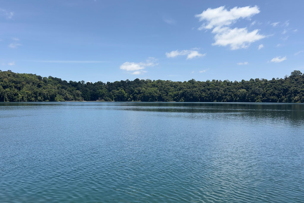 die dichte grüne Uferböschung des kleinen Lake Eacham