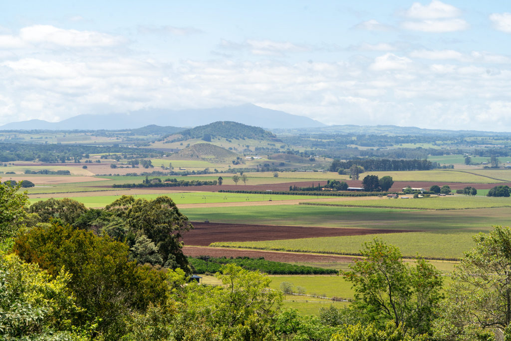 Aussicht auf die Landschaft vom Hallorans Hill Look Out in Atherton