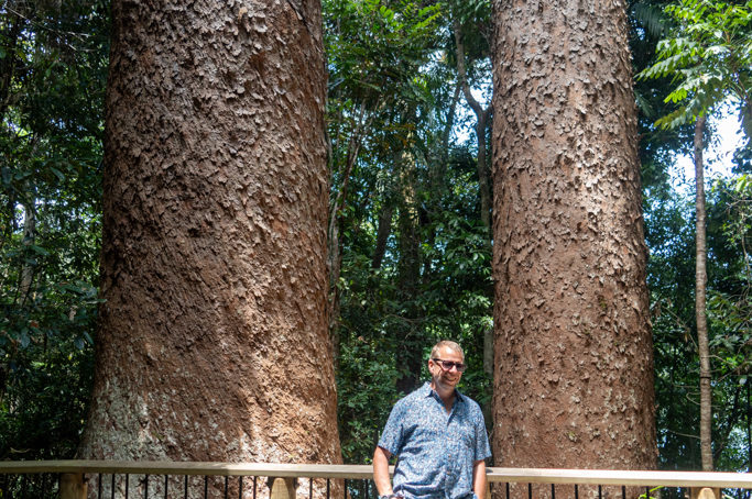 Jo zwischen zwei mächtigen Kauri Bäumen am Lake Barrine