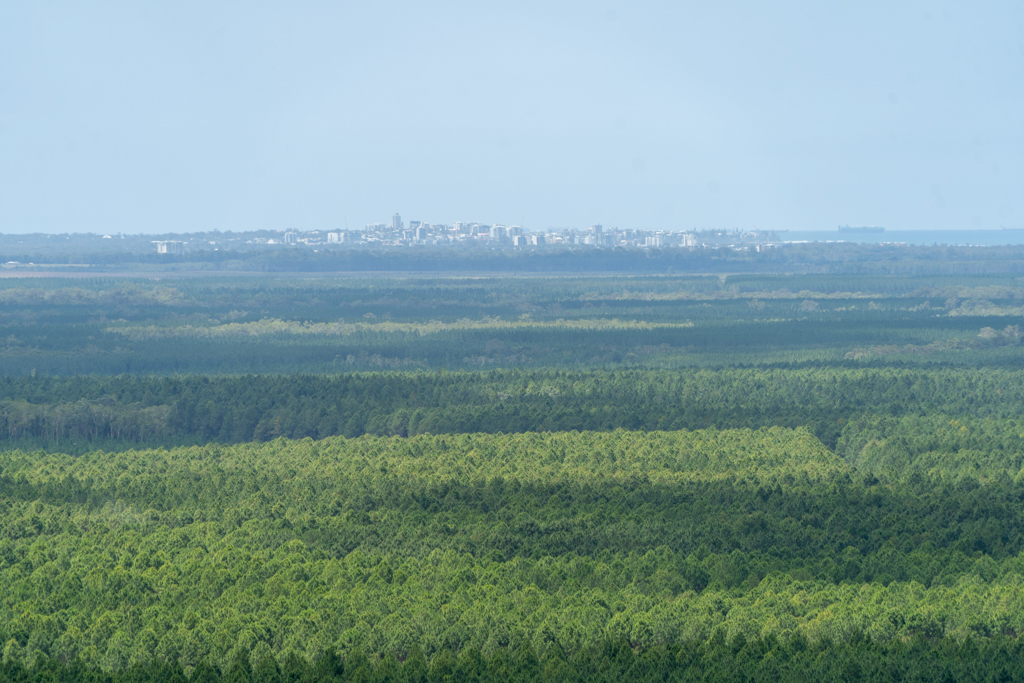 In der Ferne sehe wir schon die Skyline von Brisbane
