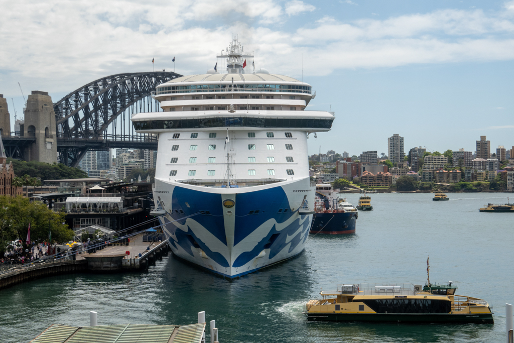 Auch von vorne ist sie mächtig. Die Royal Princess im Hafen von Sydney