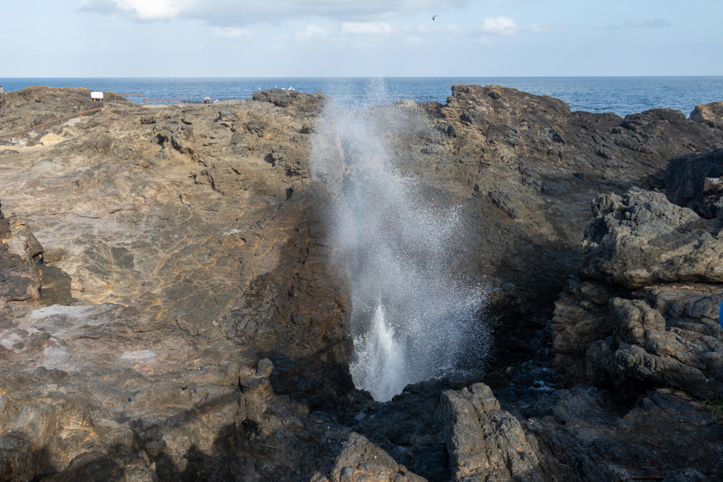 Blowhole von Kiama