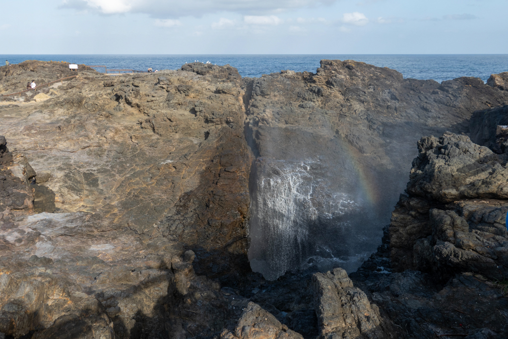 Das Blowhole hinterlässt Spritzer, die in einem Regenbogen glitzern