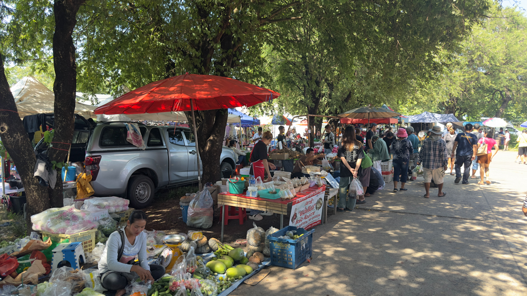 Wir besuchen den grossen Wochenmarkt hier in Kuhn Han