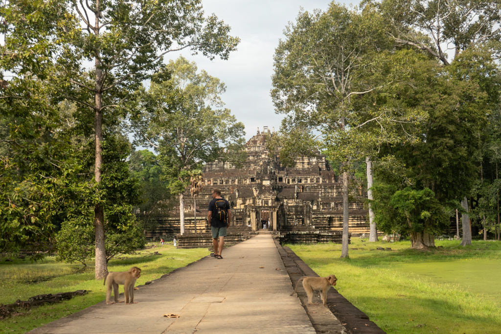 Jo und ein paar kleine Affen in der Bayon Tempelanlage