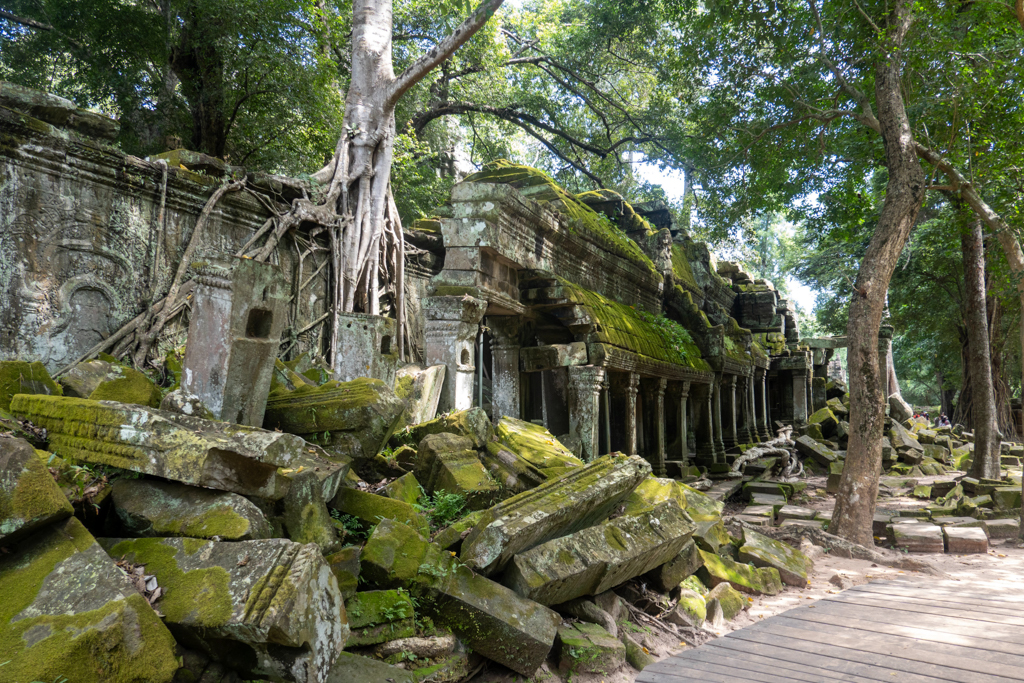 In diesem Tempel wurde Tomb Reider gedreht. Bäume wachsen aus den Gemäuern