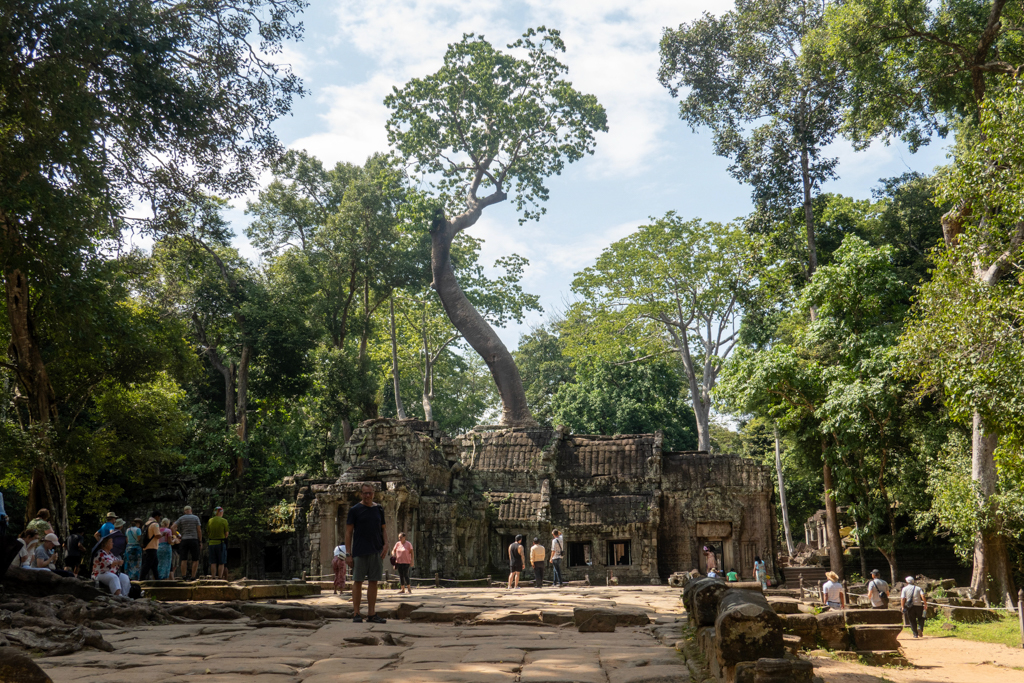 Ein mächtiger Baum erwächst auf dem Tempeldach. Hier wurde Tomb Raider gedreht