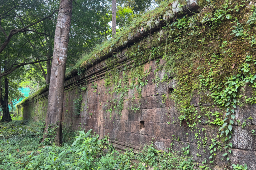 Die Tempelanlagen von Angkor verwildern immer mehr. Die Natur holt sich ihr Reich zurück