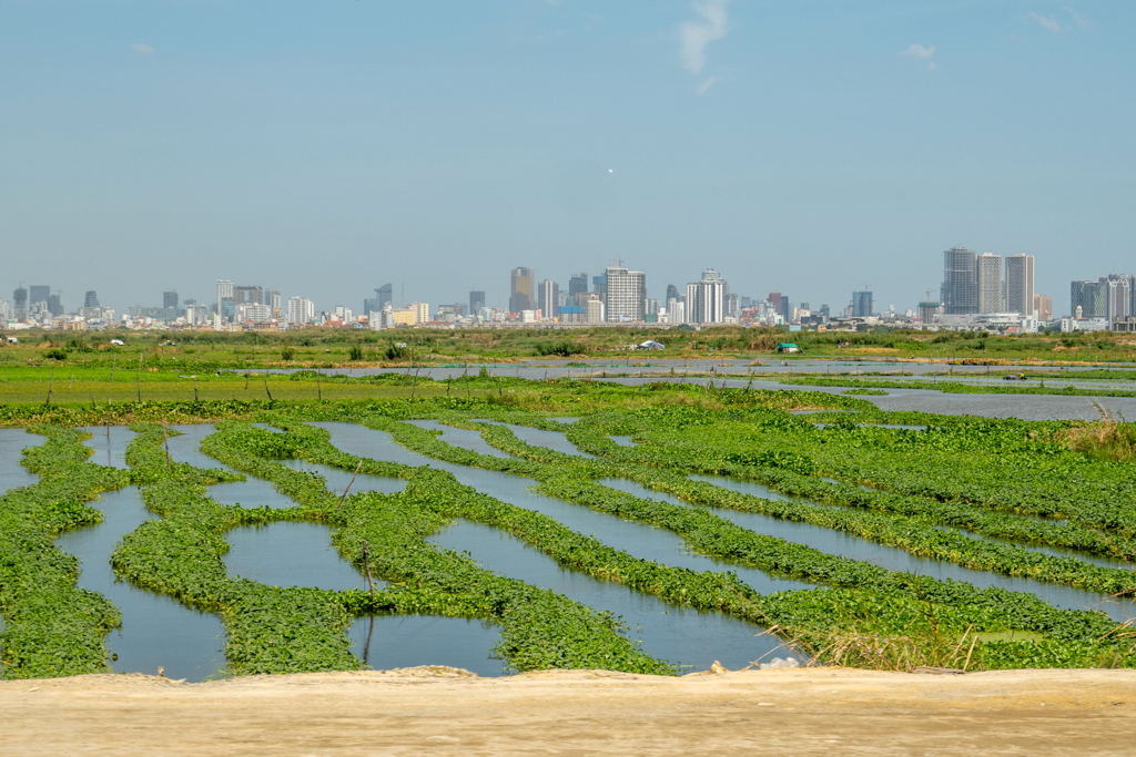 Auf dem Weg zu den Killing Fields sehen wir das Panorama der Stadt