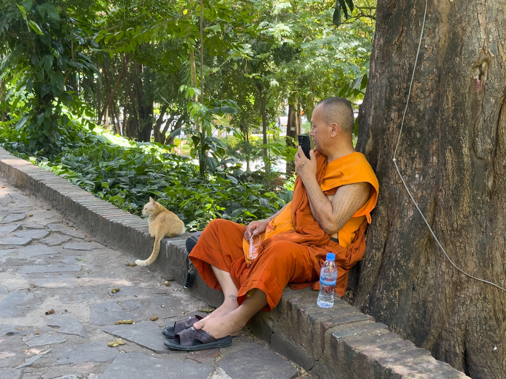 Mönch im Garten des Wats Phnom Daun Penh