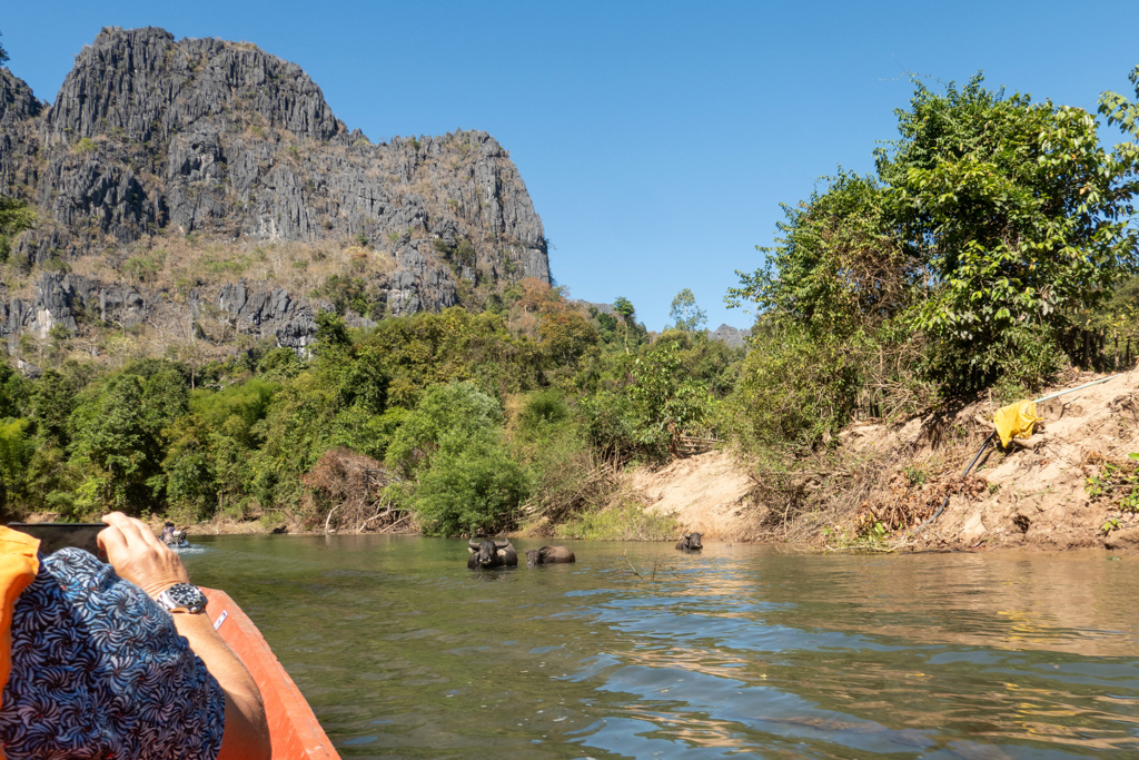 Mit Jo auf dem Wasserweg zur Konglor Höhle. Ein paar Wasserbüffel sind im Wasser