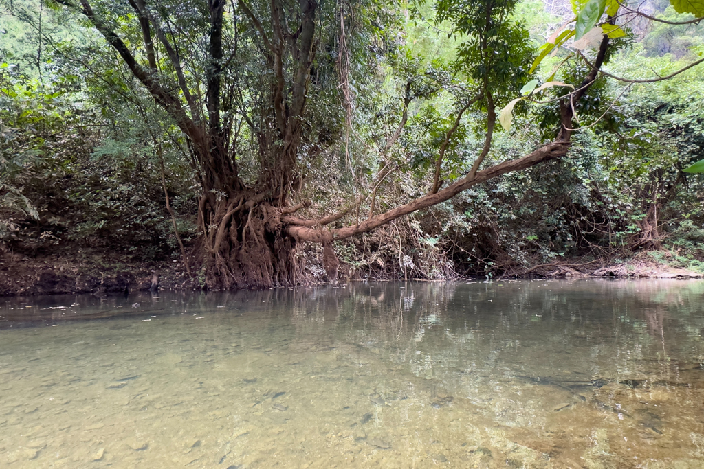 Ursprüngliche Natur in der Blauen Lagune