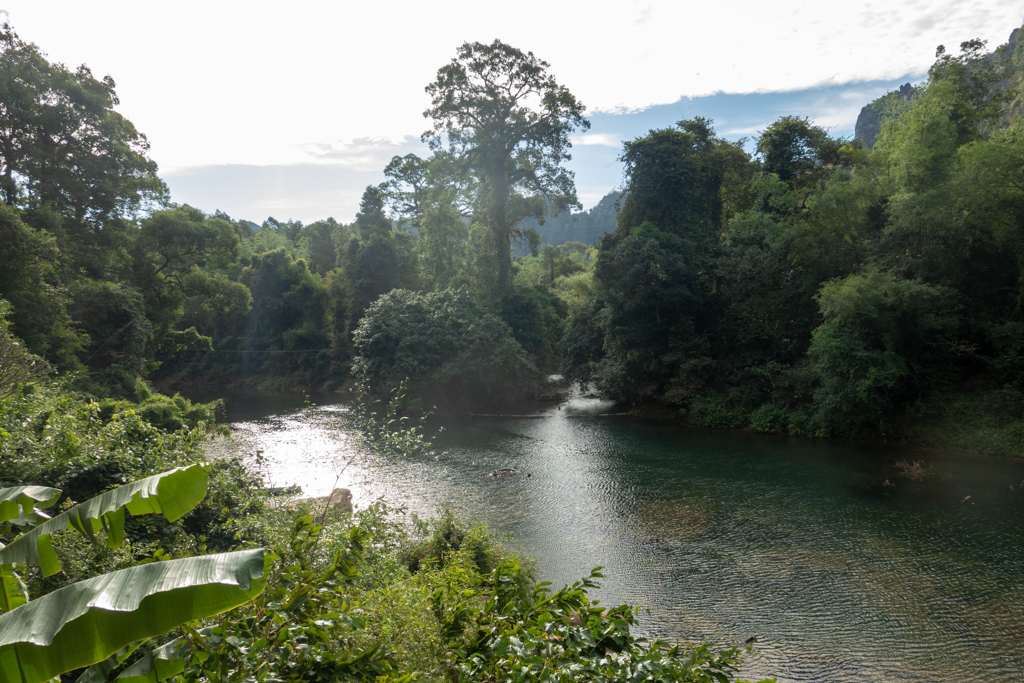 Grüne, fast unberührte Natur rund ums Spring River Resort