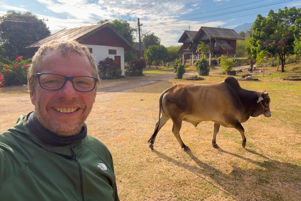 Jo mit dem ganzen Stolz unseres Landlords. Der prächtige Cebu Bulle