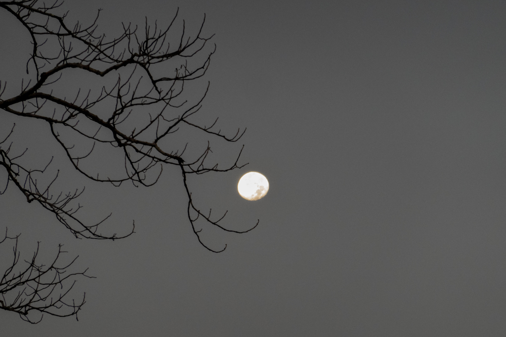 Der grosse Vollmond leuchtet über uns mitten in der Nacht