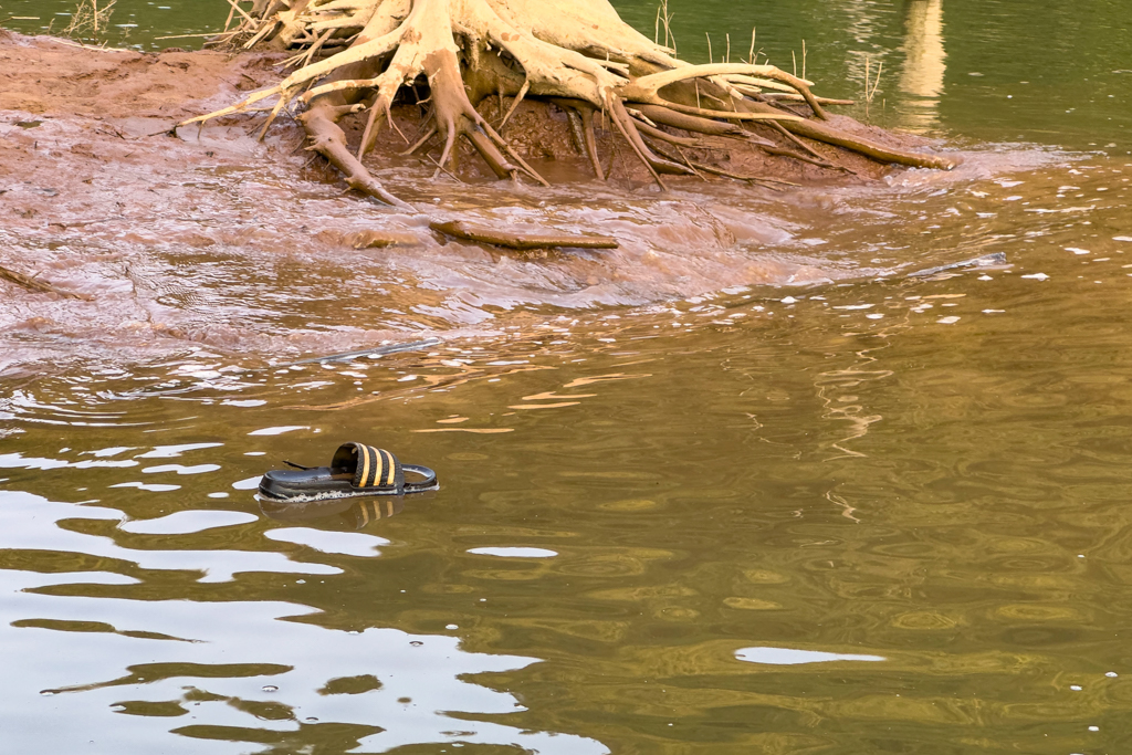 Eine einsame und verlorene gegangene Addilette schwimmt im Wasser