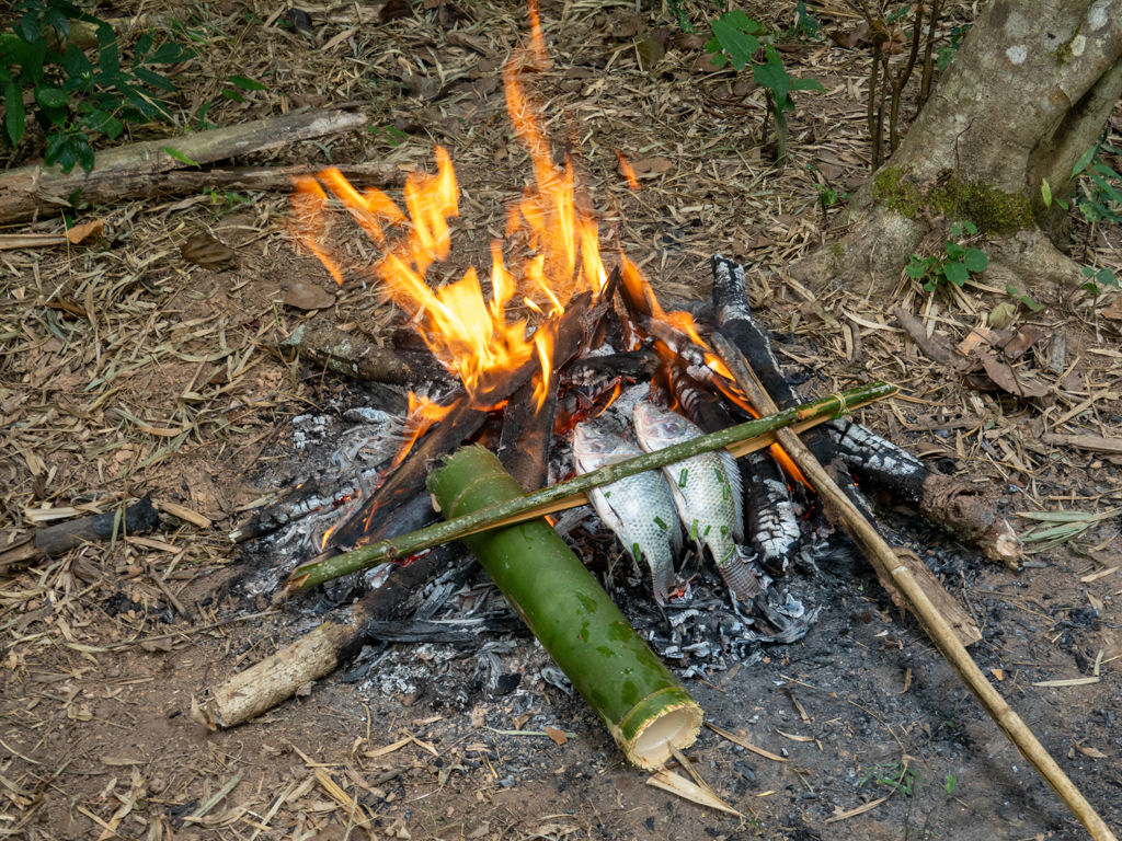 Der gefüllte Fisch wird über den Feuer gegrillt