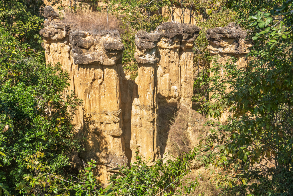 Ein paar der "Hoodoos" hier im Grand Canyon. Oben schon wieder mit Gras bewachsen