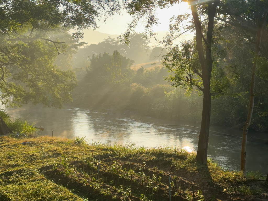 vor unserem Balkon: der langsam dahin flessende Raum River im Morgenlicht
