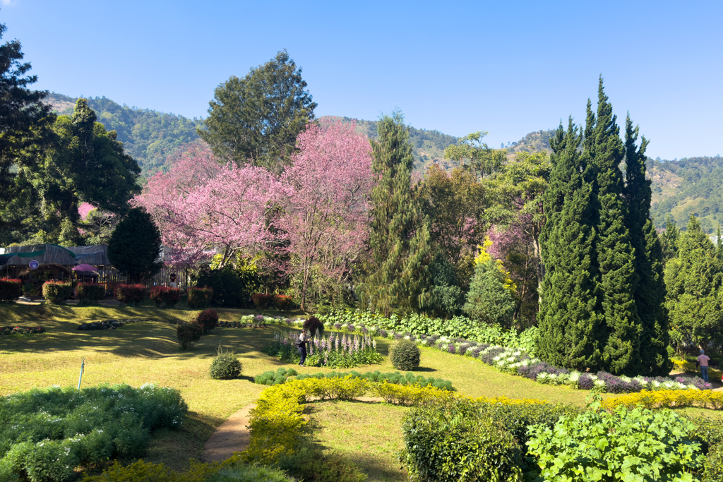 eine grosse blühende Gartenlandschaft: Das Khun Wang Royal Development Center