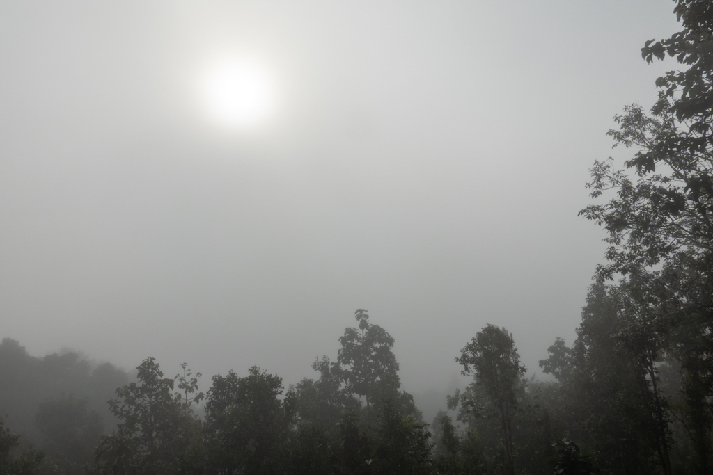 Morgennebel mit aufgehender Sonne in Mae Ngao