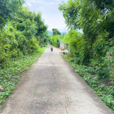 Lehrreiche Taxifahrt nach West-Bali