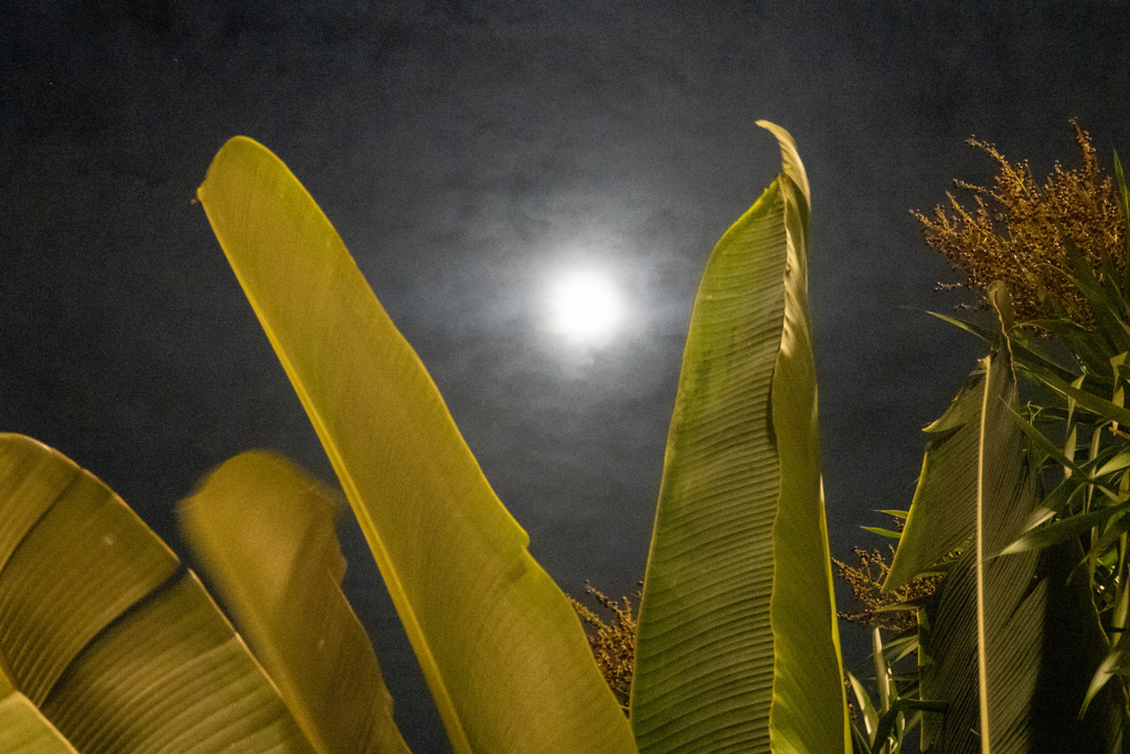 Der Vollmond versteckt sich hinter einem Wolkenschleier