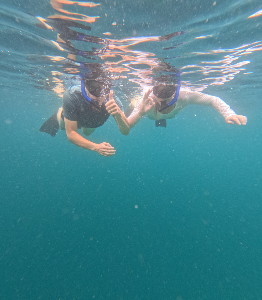 Wir tauchen ein in die Unterwasserwelt von Bali..