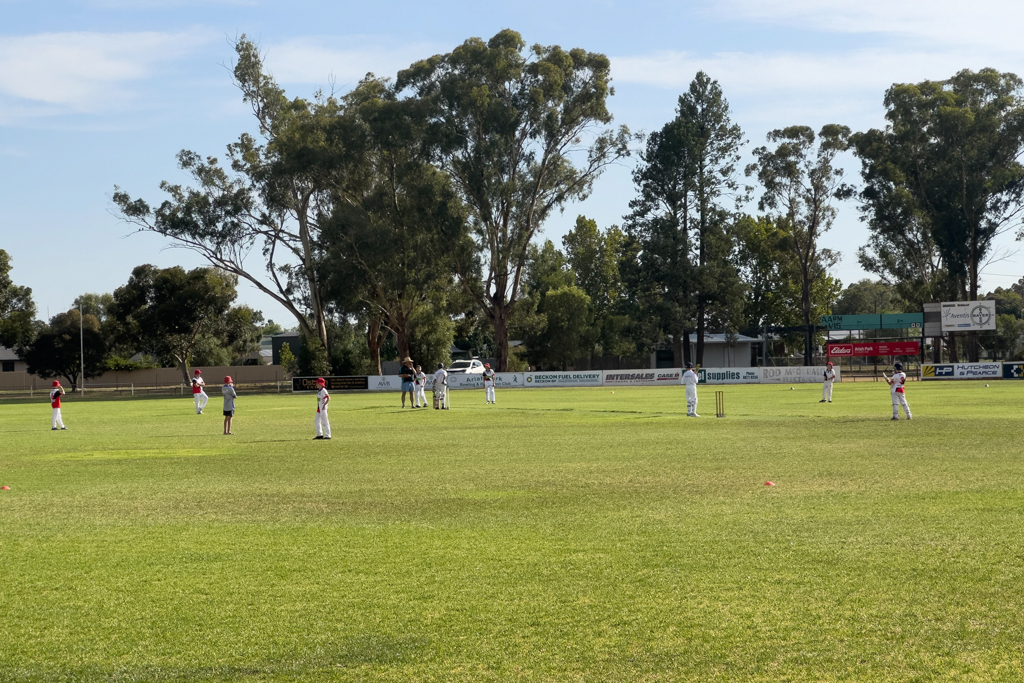 Die Jugend trainiert am frühen Samstagmorgen fleissig Cricket...