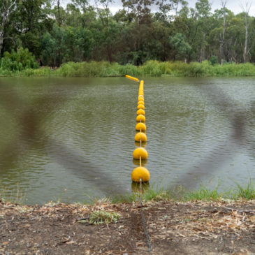 Vom trockenen Cocoparra N.P. an den Murrumbidgee River