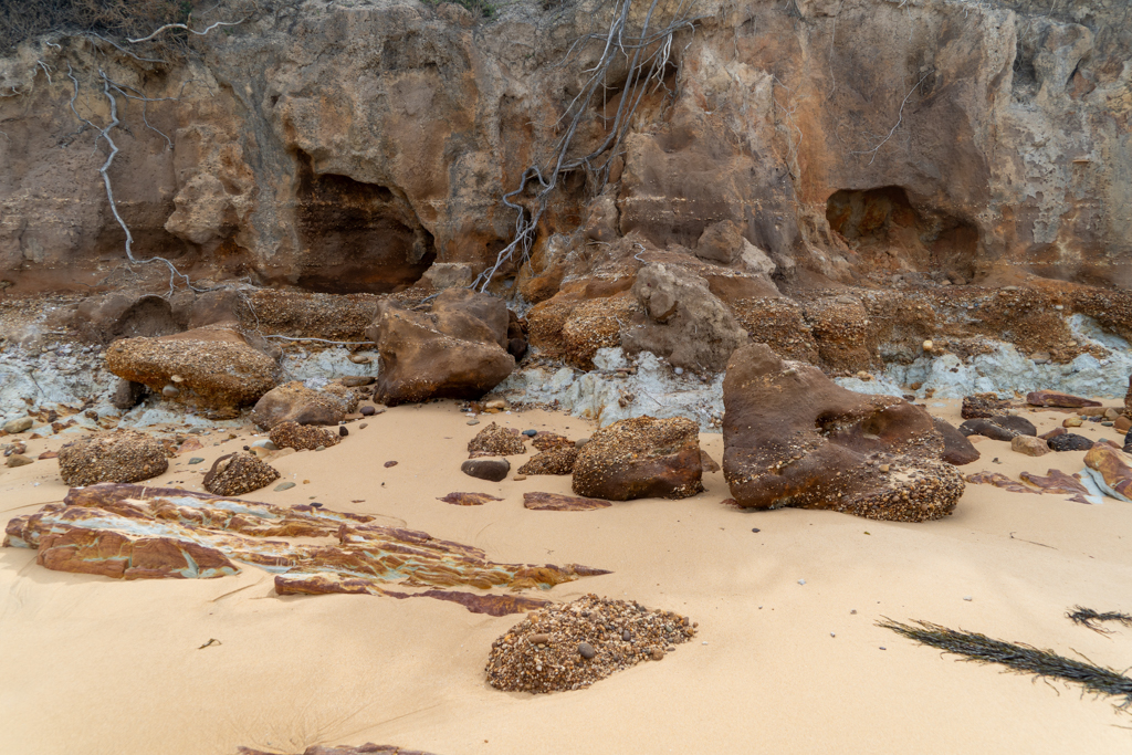 Felsen mit kleinen Muscheln. Jetzt sichtbar bei Ebbe, sonst unter Wasser