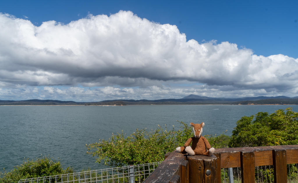 Ausgang mit Mo in Eden am Meer entlang