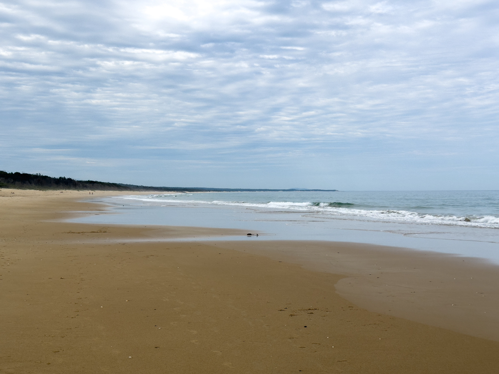 Der "Eröffnung-Strand-Spaziergang" beim Banksia Bluff Campground