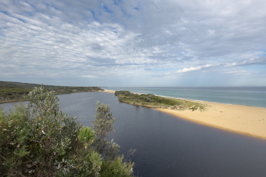 Die schon fast schwarze Lagune am Cape Conran Coastal Park