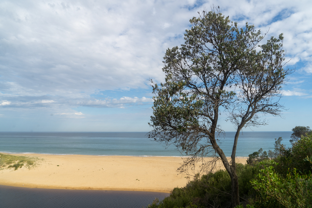 Die schon fast schwarze Lagune, dahinter das offene Meer am Cape Conran Coastal Park