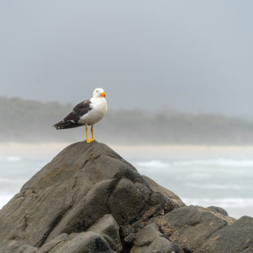 Kühler, „üsseliger“ Strandtag