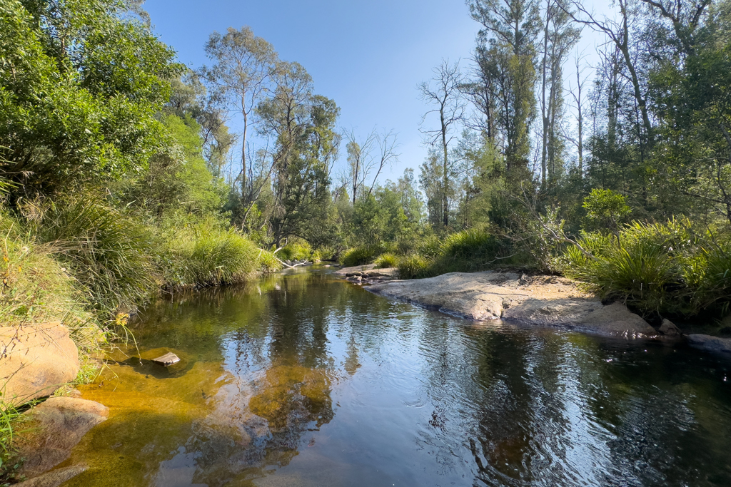 Der sanft dahinfließende Brodribb River