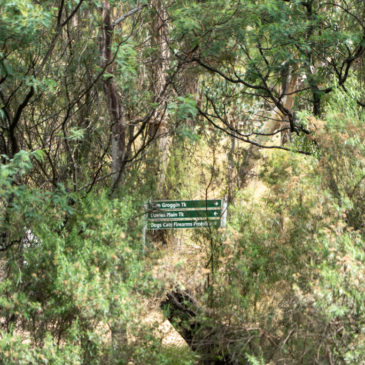 Genussbad, abenteuerlicher Hike und viel Wildlife