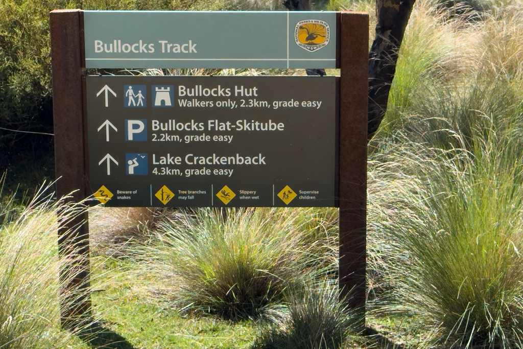 Ma mancht eine Wanderung auf dem Bulldogs Track und in einem weiten Bogen zurück zum Campground