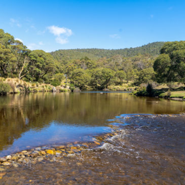 Thredbo Diggings Campground im Kosciuszko Nationalpark