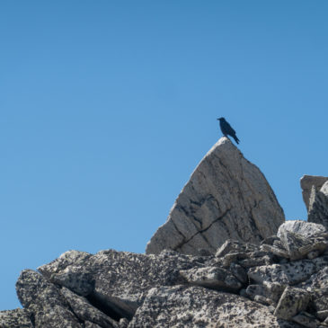 Top of Australia: Mt. Kosciuszko