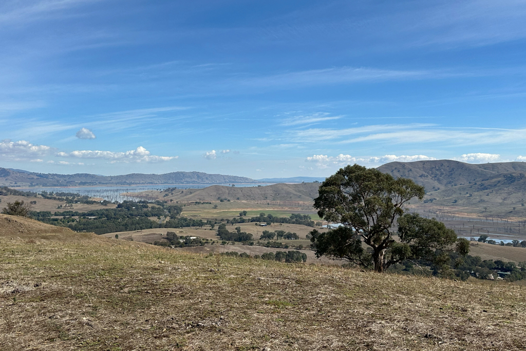 Auf dem Lookout zum Lake Hume