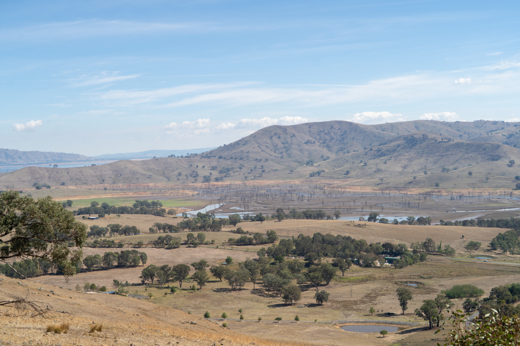 Niedrigwasser am Lake Hume; sonst stehen die grossen Bäume mitten im Wasser...