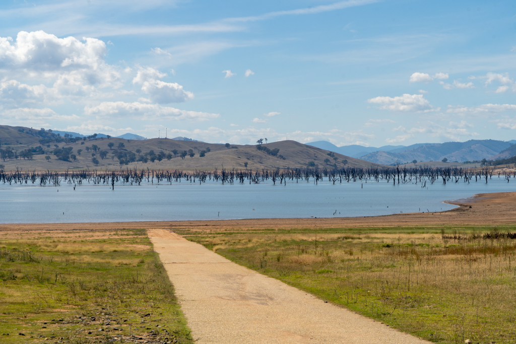 Unzählige abgestorbene Bäume stehen mal mehr, mal weniger im Wasser des Lake Hume...