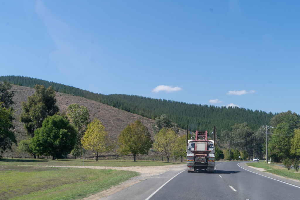 Ein Logging Truck, Holztransporter mit aufgeladenem Anhänger vor uns